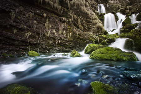 a view of a waterfall in a wood