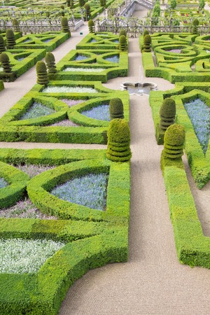 a view of a green labyrinthの写真素材