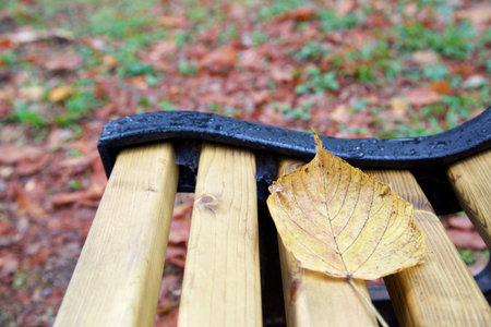 a view of autumn colors