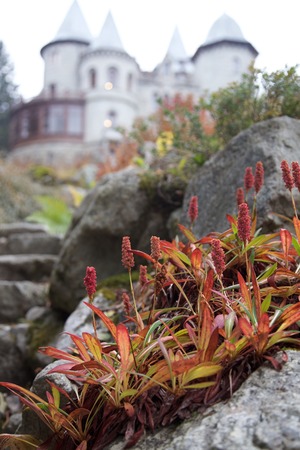a view of an old castleの写真素材
