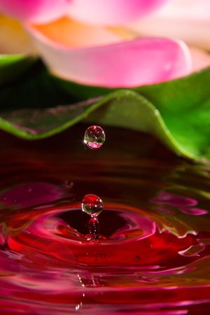a detail of a red dropの写真素材
