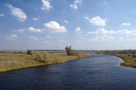 	 Wood on coast of the river