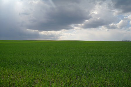 field and sky 