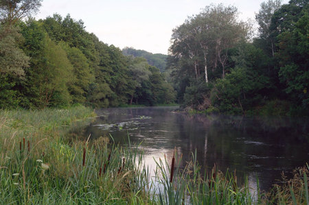 	 View on the river , morning,Ukraine