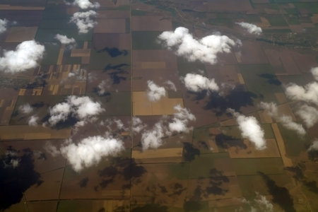 Aerial view of farm fields and trees