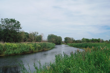 River and forest  Nature composition  