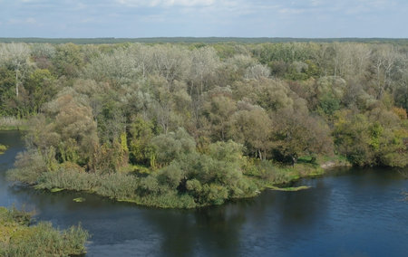 View on the river , Ukraine 