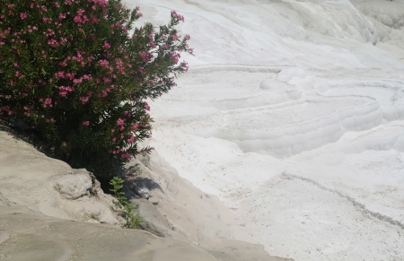 Carbonate travertines terraces in Pamukkale, Turkey の写真素材