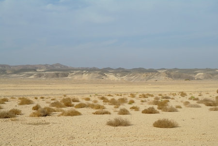 Egyptian Desert