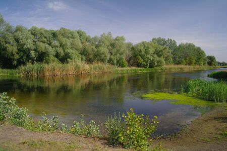 River, land with trees and cloudy sky.の写真素材