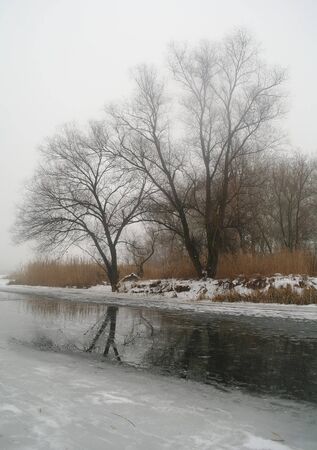 Winter on the frozen river.の写真素材