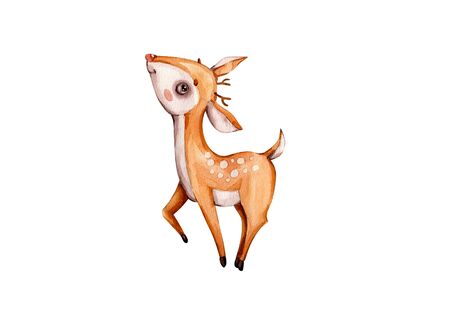 Nursery watercolor baby deer in boho style on white background. Watercolor hand drawn illustration. Reindeer poster. Nursery print. Baby illustration. Forest animal. Baby deer character. Handpainted.の写真素材