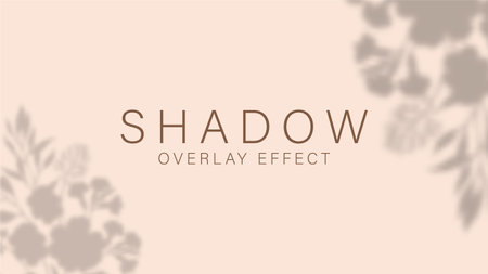Shadow overlay effect. Transparent soft light and shadows from plant, branches, foliage and leaves....