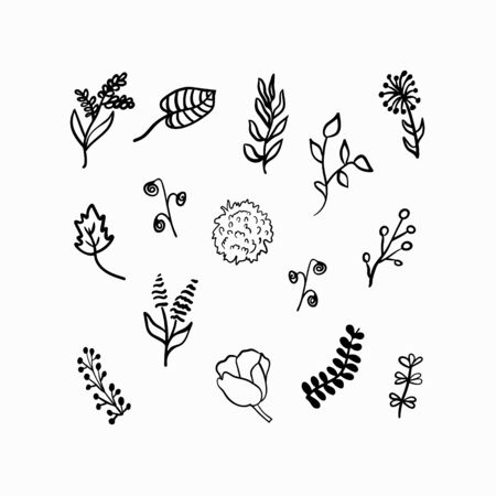 Flowers set. Doodle flower elements. Vector illustration.のイラスト素材