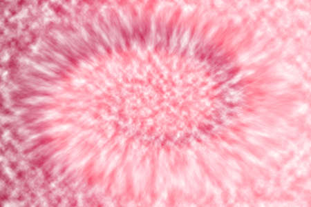 Abstract pink swirl background. Tie dye pattern.の写真素材