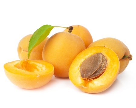 Group apricot on a white backgroundの写真素材