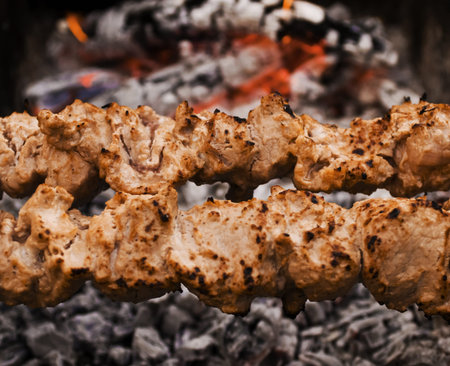 beef shish kabobs on the grill