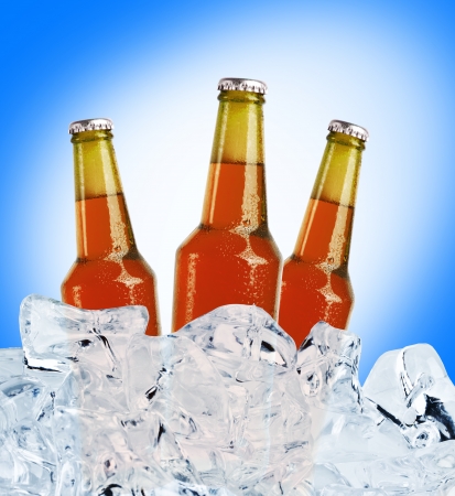 Beer is in iceの写真素材