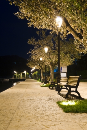 benches on the pavement in the light of a lantern at night in summerの写真素材
