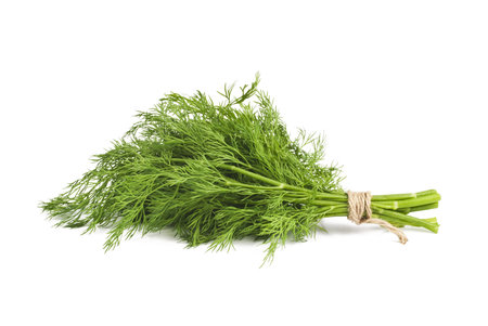 Dill isolated on white backgroundの写真素材