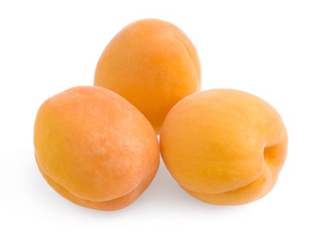 Apricots on whiteの写真素材