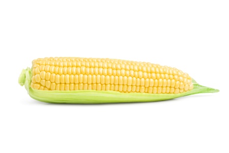 Cornの写真素材