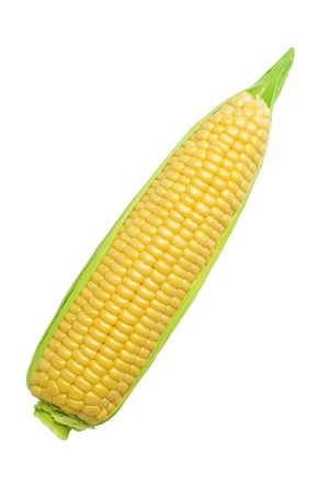 Isolated cornの写真素材