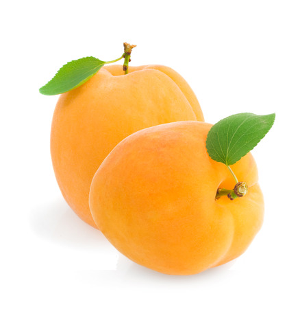 Two ripe apricot with a leaf on a white backgroundの写真素材