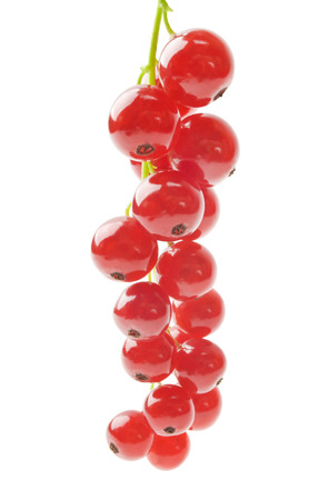 Redcurrant, isolated on whiteの写真素材