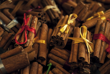 cinnamon in the electoral focusの写真素材