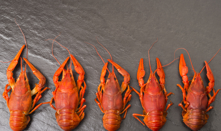 Boiled red crawfish ready to eat. Beer snack. Crayfish to beer. Red boiled crayfish on stone slate dark background. Border design with copy space for your textの写真素材
