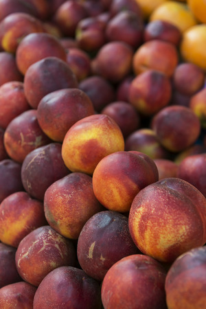 Organic Fresh nectarines in the market. Fruit background. (selective focus)の写真素材