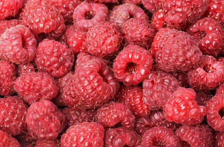 Fresh organic berries raspberry.
