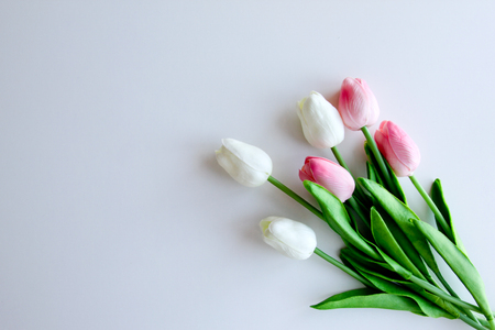 Bouquet of tulips on white backgroundの写真素材