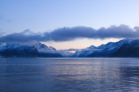 Bird view of fjord in Norway.の写真素材