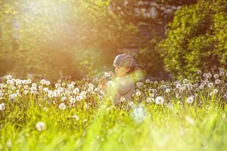 Cutly little girl  blowing Dandelion seeds in the park  Horizontal Shot の写真素材