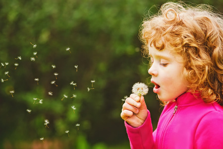 Beautiful little curly girl blowing dandelion, horizontal shot.の写真素材