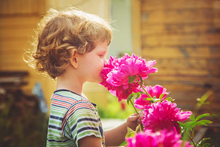 Child smelling bouquet of peonies, sun backlighting. Toning photo.の写真素材
