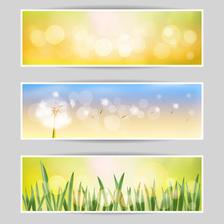 Spring vector set of white dandelion and green grass.のイラスト素材