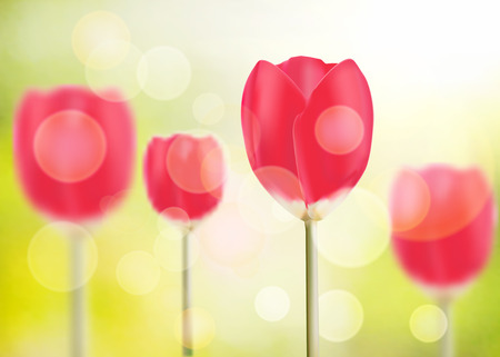 Spring vector of red tulip in green bokeh.のイラスト素材