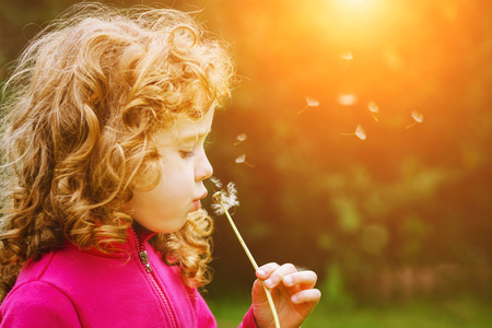 Girl blowing dandelion in the rays of the sun.の写真素材