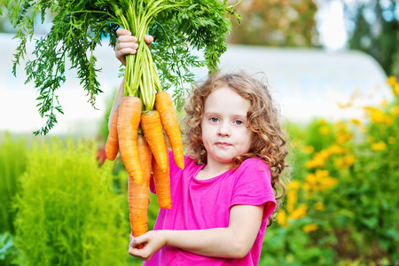Little girl with yellow carrot in the garden.の写真素材