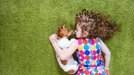 ute child with puppy jack russell sleeping on the green carpet. High top view.の写真素材