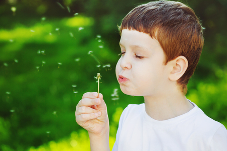 Little boy blowing dandelion.の写真素材