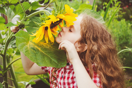 Curly girl smell sunflower enjoying nature in summer sunny day. Healthcare, freedom, peace and happy childhood concept.の写真素材