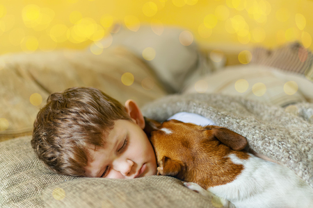 Cute baby embracing and sleeping under wool blanket in early morning christmas day.の写真素材