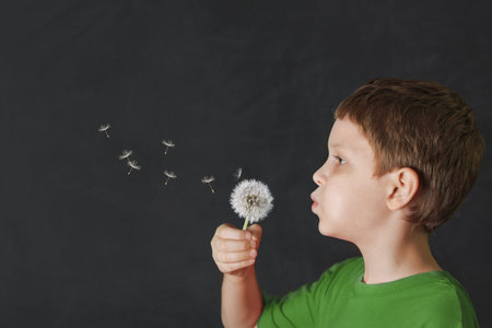 Little boy blowing dandelion on blackboard background.の写真素材