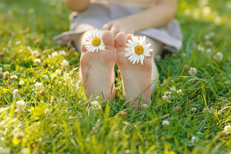 Child feet with daisy flower on green grass in a summer park.の写真素材