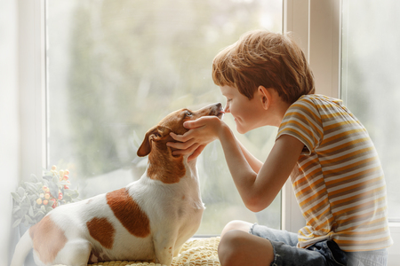 Little boy kisses the dog in nose on the window. Friendship, care, happiness, new year concept.の写真素材