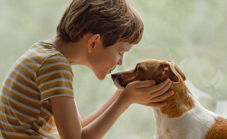 Child kisses the dog in nose on the window. Friendship, care, happy childhood concept.の写真素材